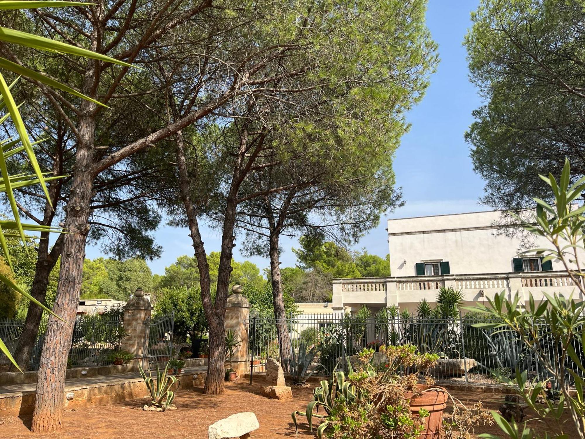 Masseria La Camardia Sava Esterno foto