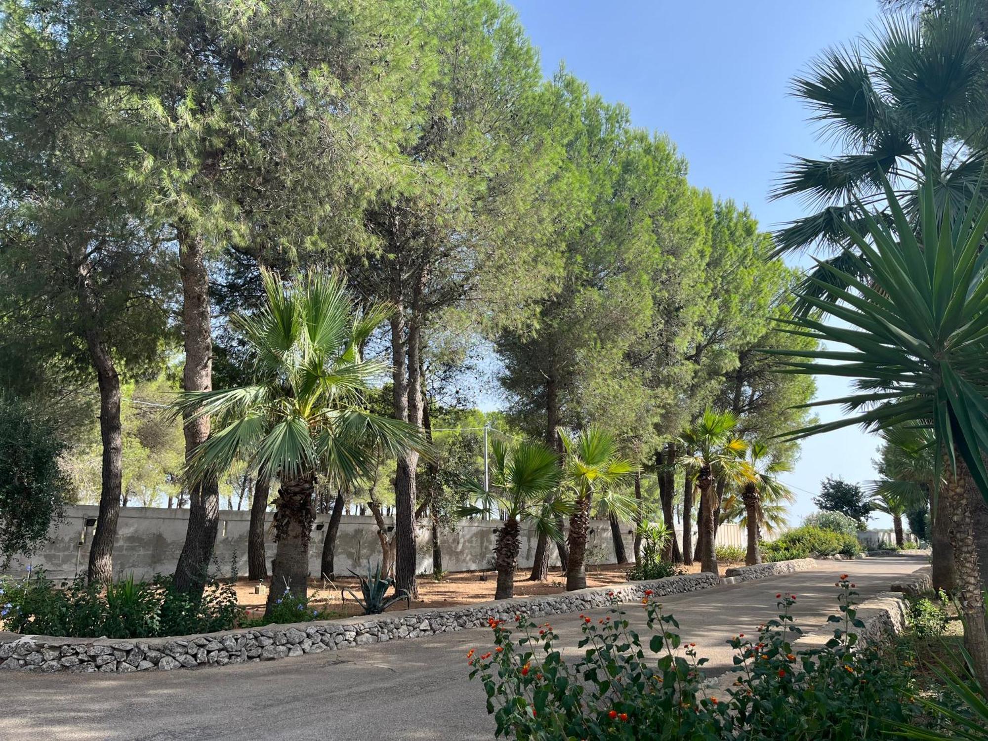 Masseria La Camardia Sava Esterno foto