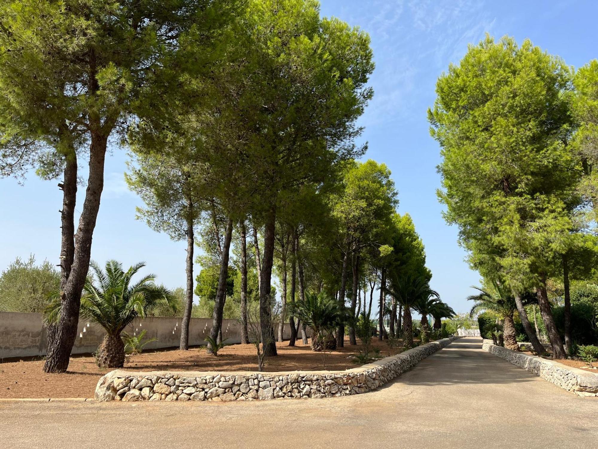 Masseria La Camardia Sava Esterno foto
