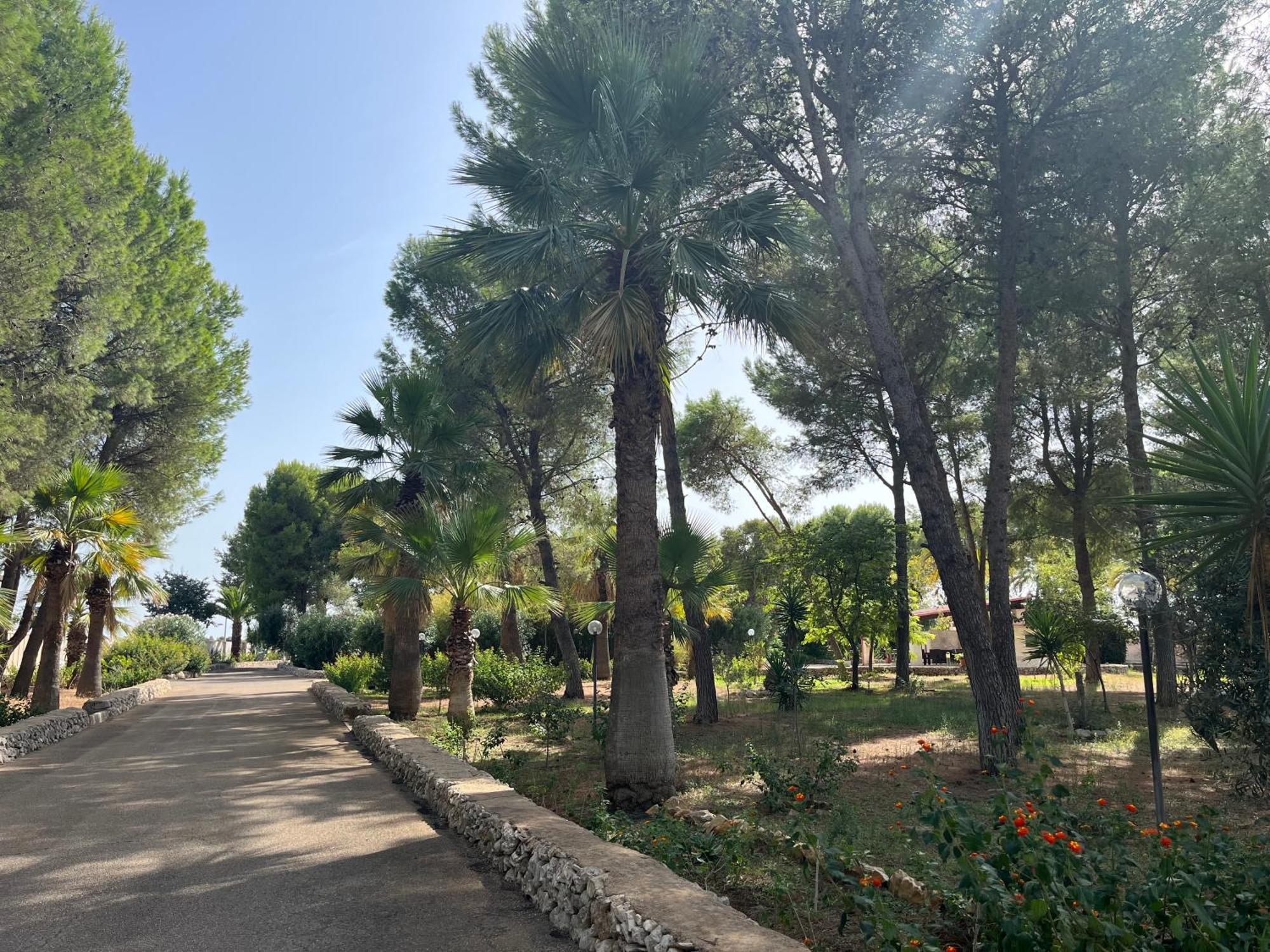 Masseria La Camardia Sava Esterno foto