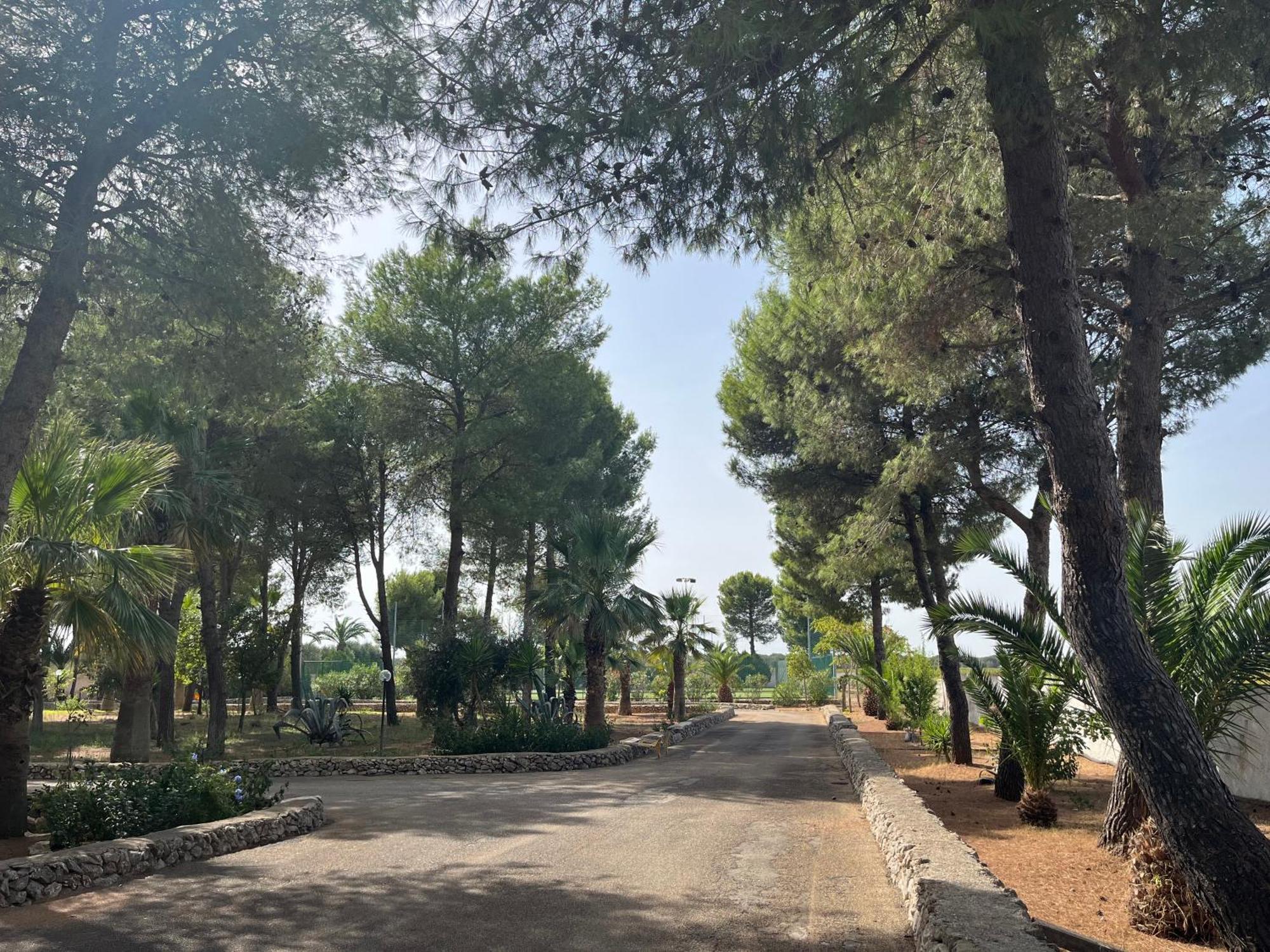 Masseria La Camardia Sava Esterno foto