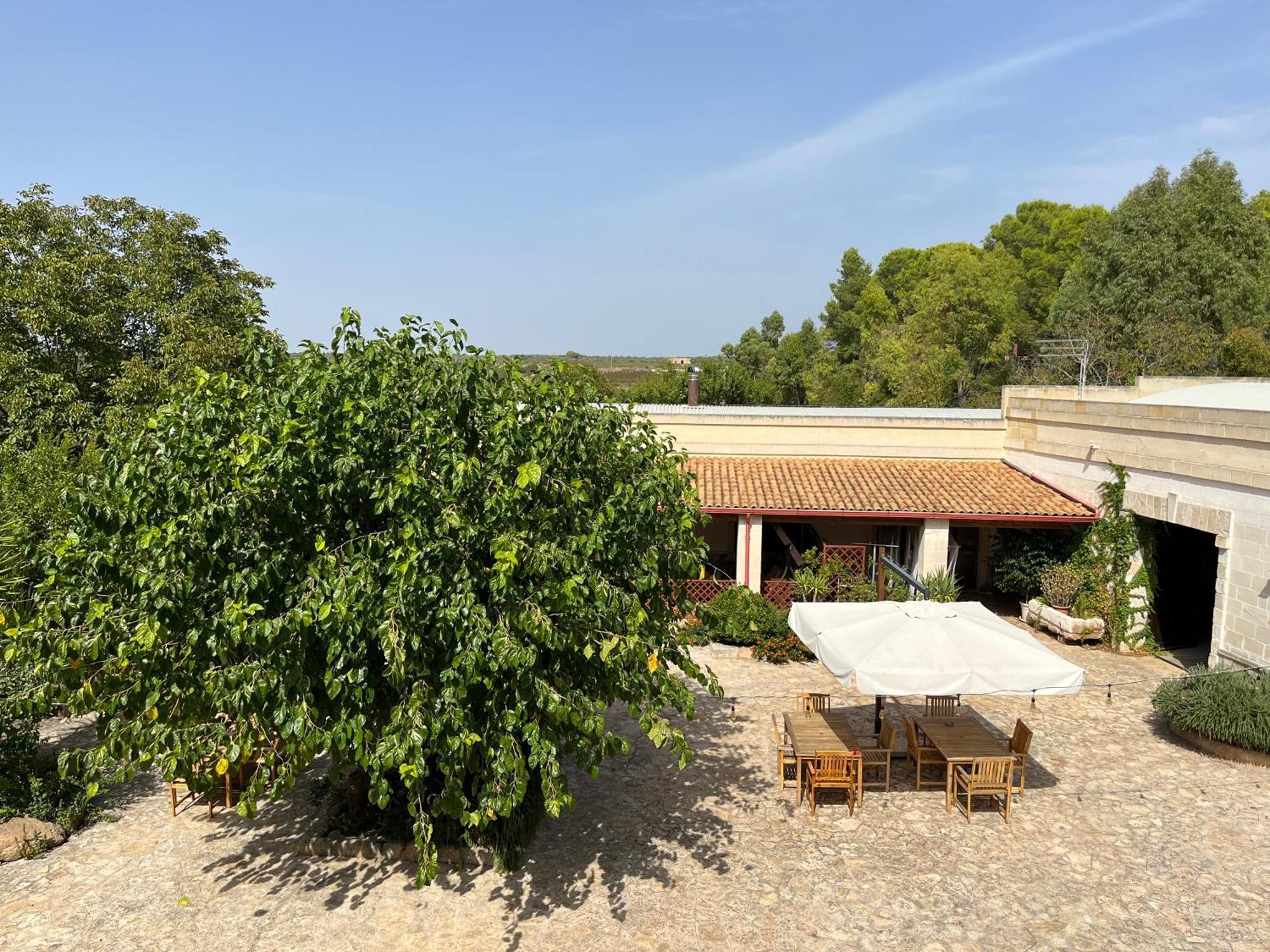 Masseria La Camardia Sava Esterno foto