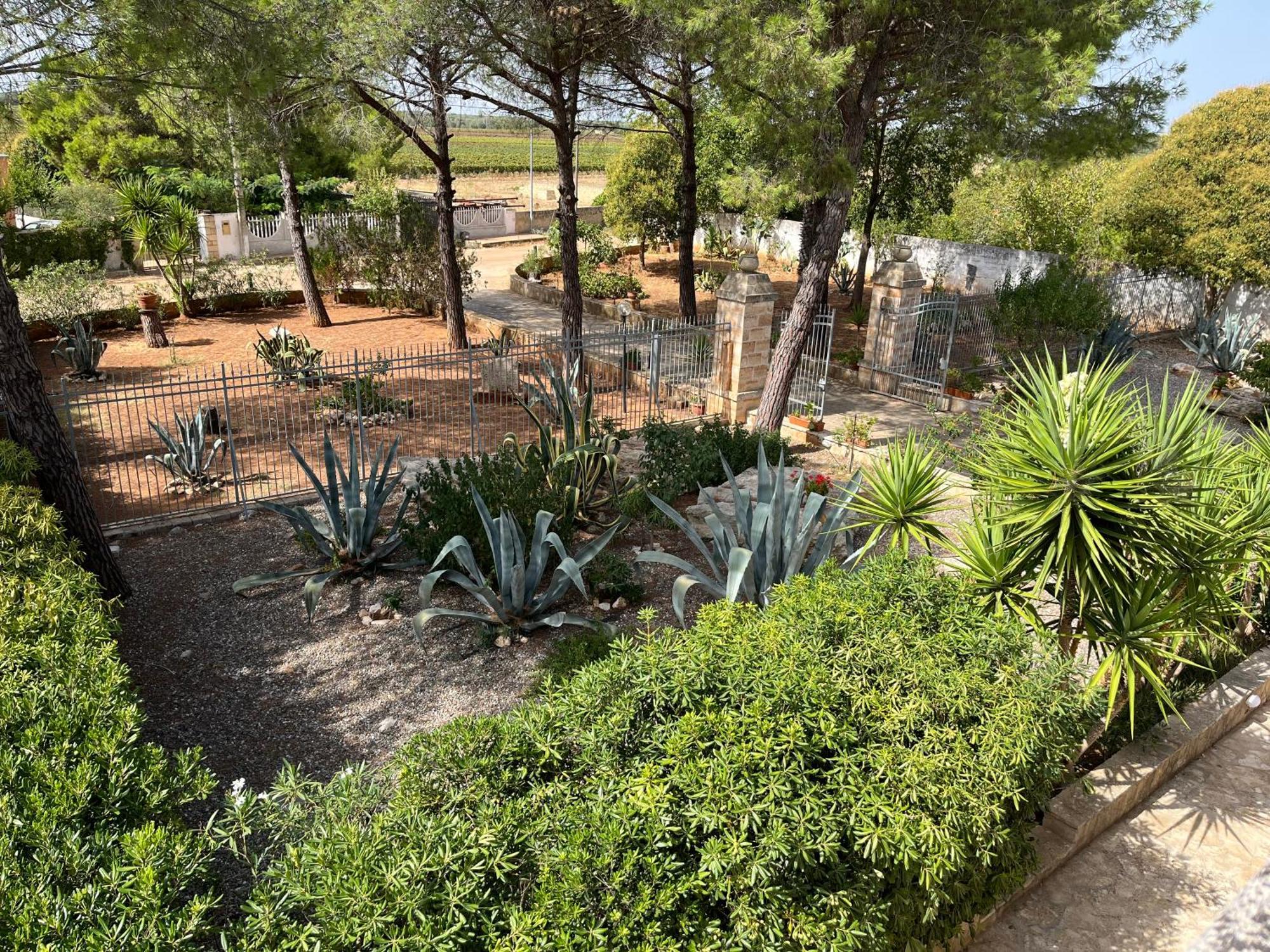 Masseria La Camardia Sava Esterno foto